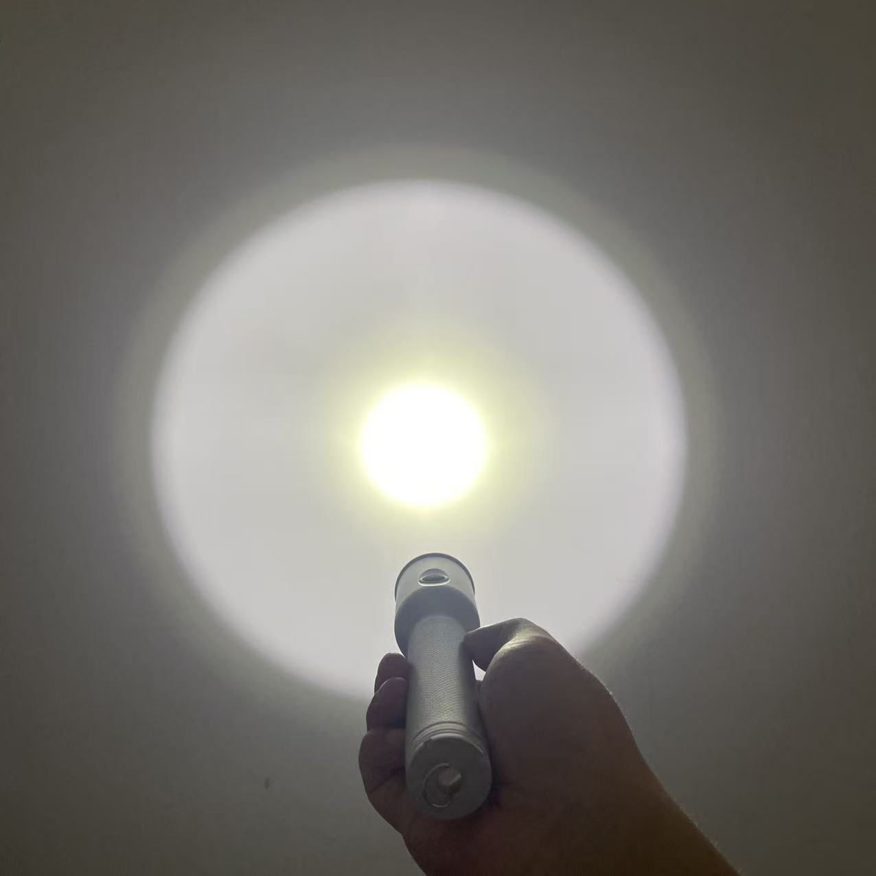 H7210 Oneness Energy-Saving Explosion-Proof Flashlight (Press-button switch type)