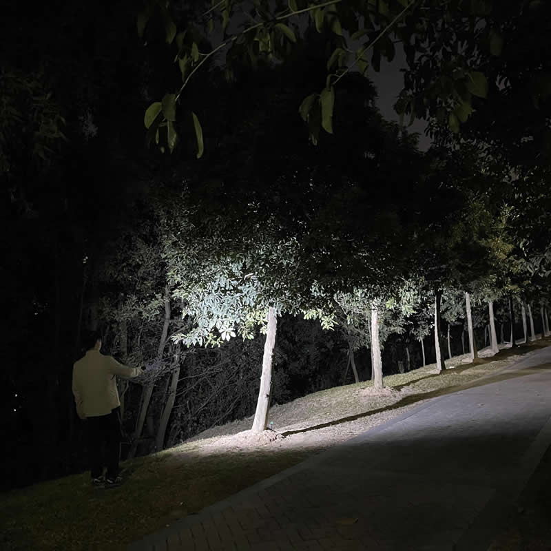 Why You Need to Carry a Flashlight Every Day