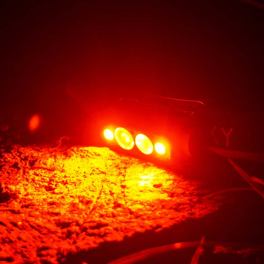 Do you know the benefits of using a red flashlight?