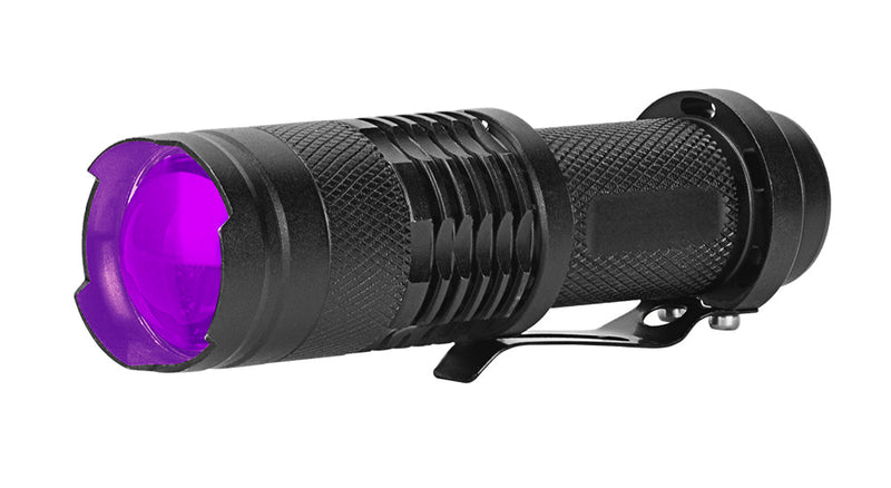 What Is a UV Flashlight Used For?