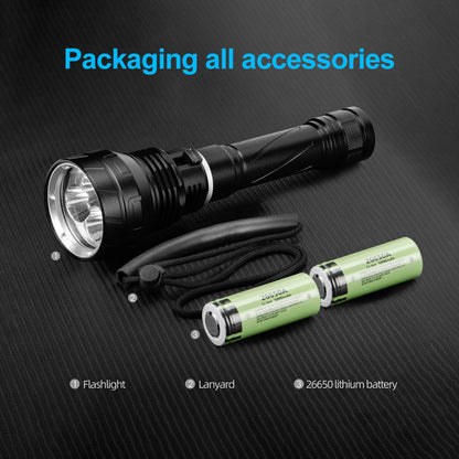 Helius DV20 Diving Light